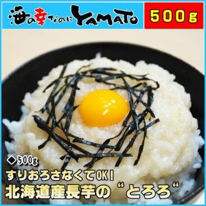 とろろ 500g 北海道産長芋 ポイント 消化 冷凍食品 かけご飯 ご飯のお供