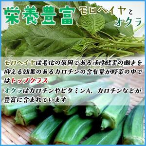 モロヘイヤとオクラのおひたし たっぷり500g...の詳細画像2