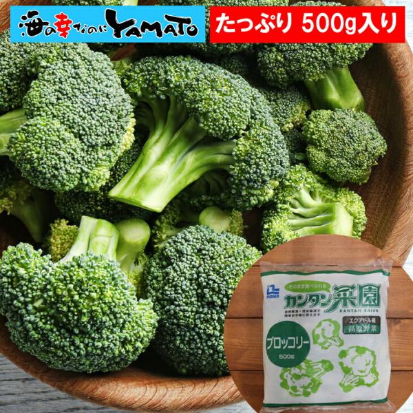 ブロッコリー たっぷり500ｇ入り 高原野菜 下処理不要 野菜 やさい