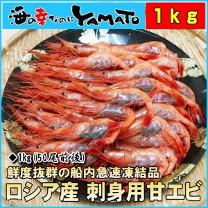 (エビ 海老 えび)甘海老 1kg (約50尾入) ロシア産 船上凍結 刺身用  贈答 爆買