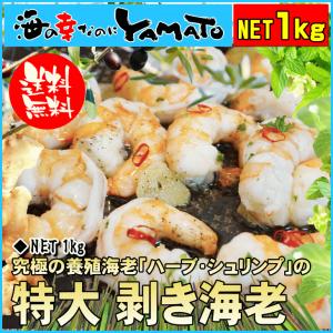 (エビ 海老 えび)特大剥き海老 ハーブシュリンプ NET1kg 惣菜 冷凍食品 おやつ おつまみ｜sfd-ymd