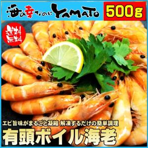 有頭 ボイル海老 たっぷり500g えび エビ