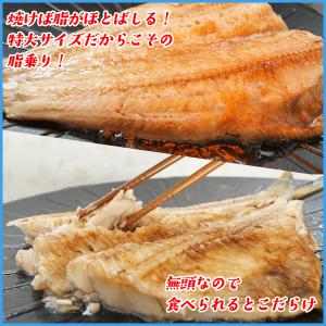 縞ホッケの開き干し 無頭で300g以上の特大サ...の詳細画像3