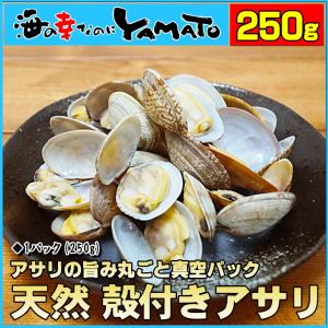 天然 殻付きアサリの旨味ボイル 250g×1パック 冷凍食品