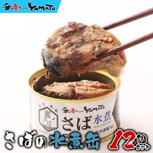 サバ さば 缶詰 竈さば x 木の屋 水煮缶12個セット 金華山沖漁場・魚体500g以上の竈さばでつくる絶品の鯖缶 サバ  石巻水産 非常食 母の日 父の日 爆買