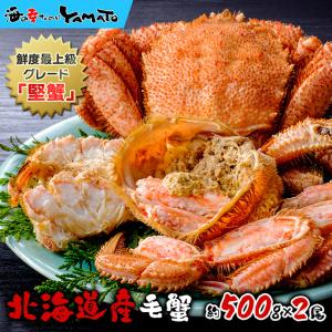 毛蟹 毛ガニ 北海道産 毛蟹 500gサイズ×2尾入 1kg かに