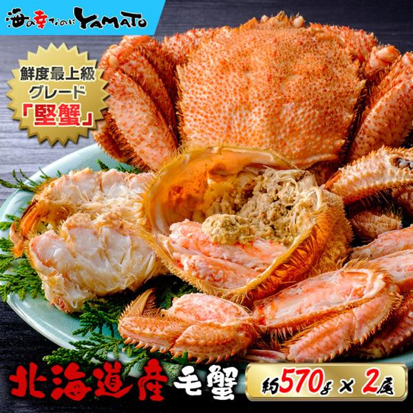 北海道オホーツク産 浜茹で毛蟹 大型570gサイズ×2尾入 合計1,14kg  化粧箱入り 堅ケガニ...