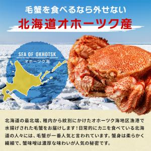北海道オホーツク産 浜茹で毛蟹 大型570gサ...の詳細画像3