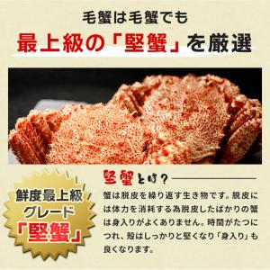 北海道オホーツク産 浜茹で毛蟹 大型570gサ...の詳細画像4