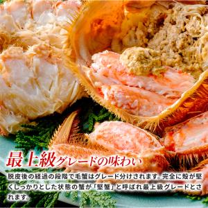 北海道オホーツク産 浜茹で毛蟹 大型570gサ...の詳細画像5