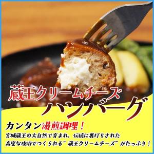湯煎だけでOK!蔵王クリームチーズハンバーグ ...の詳細画像1