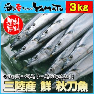 三陸産 鮮 秋刀魚 1尾130g以上保証 総重量3kg(19〜24尾入が目安となります) 生さんま サンマ