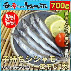 訳あり 子持ちシシャモ(大) 一夜干し 700g 約35尾前後入