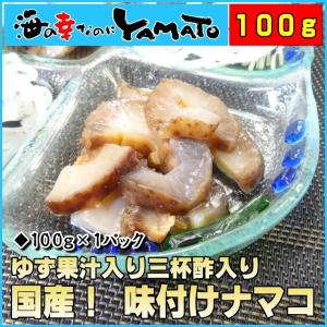 国産味付け赤ナマコ100g×1パック ポイント 消化 海鼠