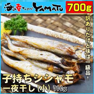 訳あり 子持ちシシャモ一夜干し 700gに55尾前後入り ししゃも