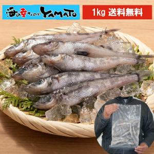 乾燥(黒) なまこ 1KG140個前後入 A級品 関西産 ナマコ 海参 黒 乾燥(黒) なまこ 1KG140個前後入 A級品 関西産 ナマコ 海参 黒