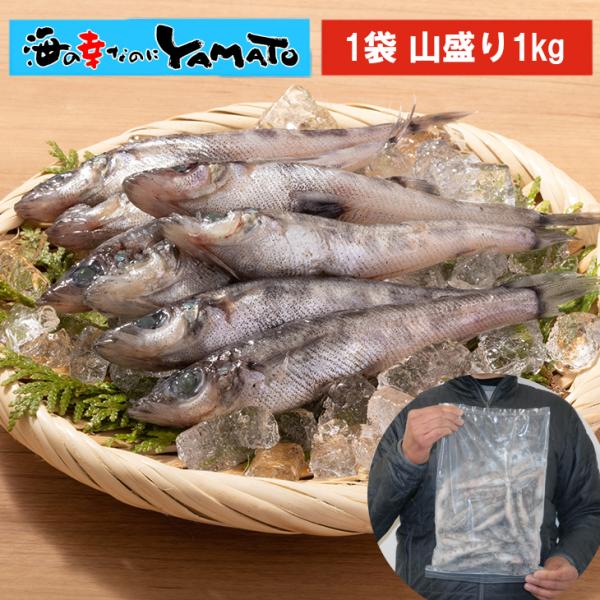 三陸石巻産 メヒカリ 1kg (35尾前後入) 石巻産 めひかり 目光 唐揚げ 天ぷら