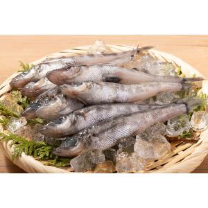三陸石巻産 メヒカリ 500g-1kg めひか...の詳細画像2