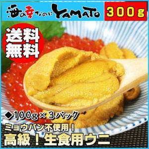 うに ウニ 天然生ウニ 100g×3パック 雲丹 ミョウバン不使用