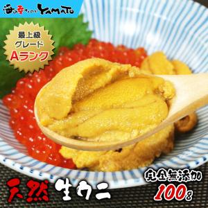 うに ウニ 天然生ウニ100g 雲丹 ミョウバン...の商品画像