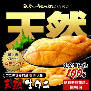 うに ウニ 天然生ウニ100g 雲丹 ミョウバ...の詳細画像1