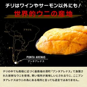 うに ウニ 天然生ウニ100g 雲丹 ミョウバ...の詳細画像4