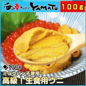 うに ウニ 天然生ウニ 100g 冷凍食品 完全無添加 雲丹 ミョウバン不使用｜sfd-ymd