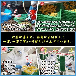 うに ウニ 天然生ウニ 100g 冷凍食品 完...の詳細画像3