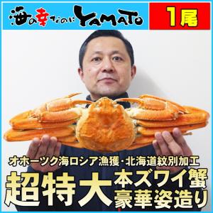 プレミアムサイズ一尾で1kg！本ズワイ蟹姿造り 北海道紋別で浜茹で！  カニ かに 蟹 ずわい蟹 ズワイガニ 蟹味噌 カニ味噌