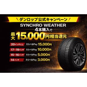 ダンロップ(DUNLOP) SYNCHRO WEATHER(シンクロウェザー) オール
