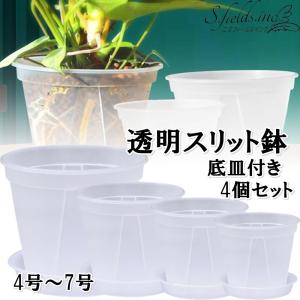 S.fields.inc正規直営店 スリット鉢 植木鉢 透明 プラスチック 底皿付き 4個セット 観葉植物 オーキッドポット (6号)｜sfinc