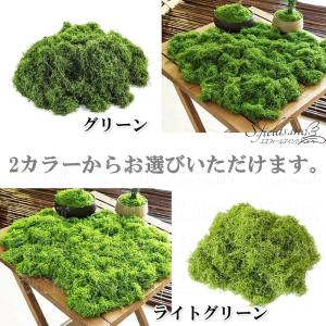 S.fields.inc正規直営店 人工苔 1...の詳細画像2
