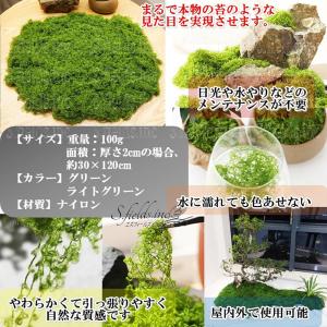 S.fields.inc正規直営店 人工苔 1...の詳細画像3