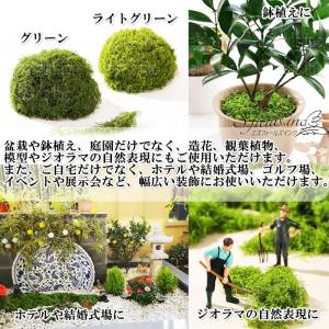 S.fields.inc正規直営店 人工苔 1...の詳細画像4