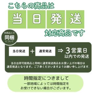 ラズベリー ポラナ 3号ポット 苗木 果樹苗 ...の詳細画像4
