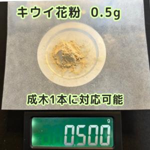 キウイ花粉0.5gの詳細画像3