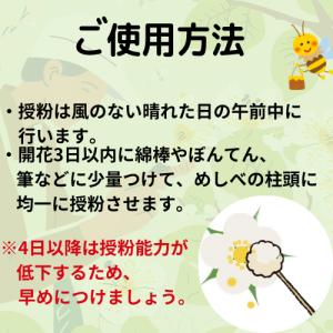 キウイ花粉0.5gの詳細画像5