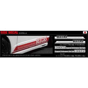 BEECAS/ビーキャス【（ATHLETE/アスリート）サイドステップ】200系