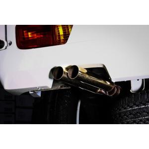 ESB/イーエスビー（CLS-VS)【【デュアルマフラー タイコ付】DA64V