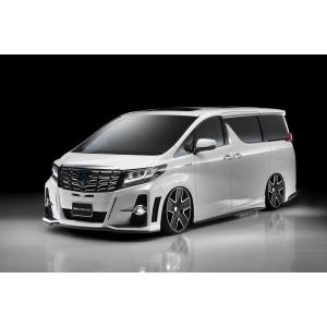 WALD/ヴァルド（EXECUTIVE LINE）【エアロ3点セット(F/S/R)※ABS製】30