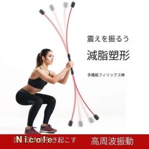 IRIS OHYAMA 体幹ストレッチ コアトレーナー Lサイズ TSR-1265
