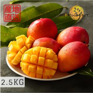 タイ産マンゴー（マハチャノック種）大玉12個入り 約4.5kg