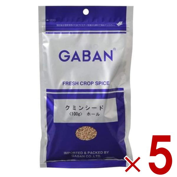 GABAN クミンホール 100g 5個セット業務用 スパイス ハーブ ギャバン