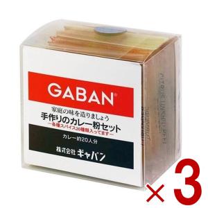 GABAN ギャバン スパイス 手作りのカレー粉セット 100g 3個 カレーペースト 食塩無添加 カレーライス 香辛料 調味料 減塩 塩分控えめ｜sgline