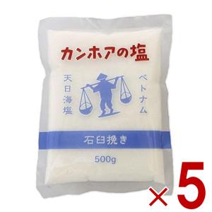 カンホアの塩 500g 石臼挽き お塩 カンホア 塩 天日塩 ベトナムの塩 ミネラル 天日 天然塩 5袋｜sgline