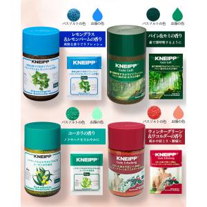 クナイプ バスソルト 12種類 全種 アソート...の詳細画像5