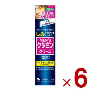 メンズケシミンクリーム 20g 小林製薬 ケシミン シミ対策 シミ予防 しみ対策 医薬部外品 6個｜sgline