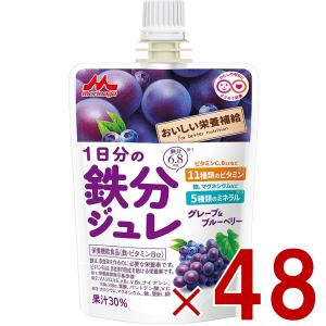 森永乳業 1日分の鉄分ジュレ グレープ ＆ ブルーベリー 100g パウチ 鉄分 ジュレ 果実 ゼリー飲料 鉄分 フルーツ ベリー 48個｜sgline