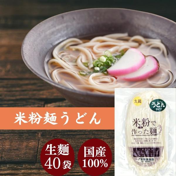 グルテンフリー うどん 米粉 麺 米屋 1食130g 小麦粉不使用 名古屋食糧 麺のみ 40個