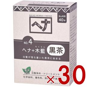白髪染め ヘアカラー ヘナ+木藍 黒茶系 No....の商品画像